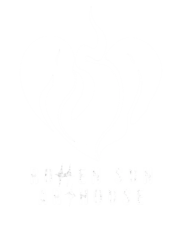 Rotten Sun Arthouse
